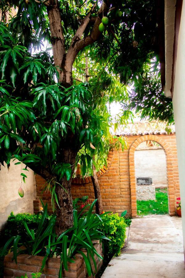 Villa Flores, Casa En El Centro De มาสโกตา ภายนอก รูปภาพ